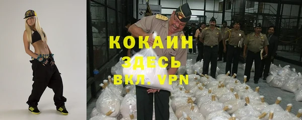 эйфоретик Бородино