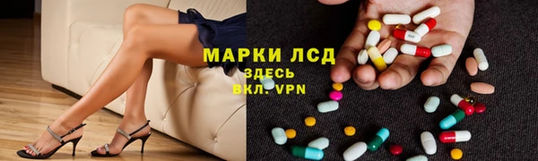 крисы Бронницы
