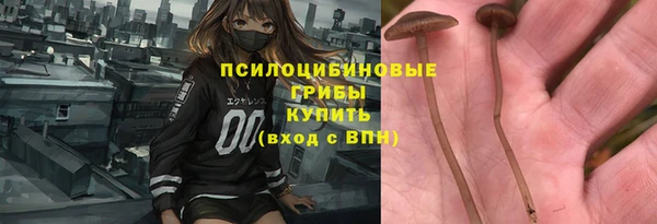 крисы Бронницы