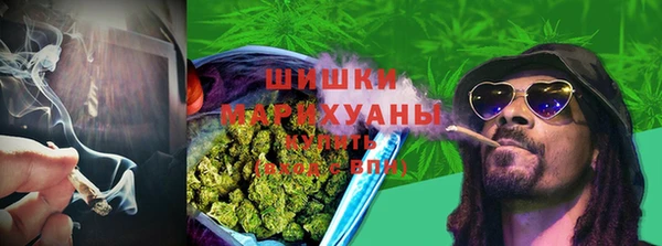 МДПВ Заречный