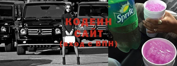 эйфоретик Бородино